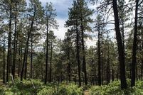 Undeveloped Land for sale in La Plata County, Colorado