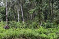 Land for sale in Putnam County, Florida