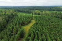 Farm and Ranch for sale in Lamar County, Alabama