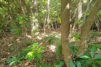 Land for sale in Patrick County, Virginia