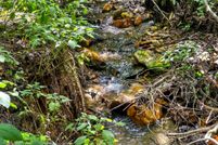 Land for sale in Buncombe County, North Carolina