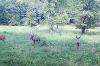 Land for sale in Carter County, Missouri