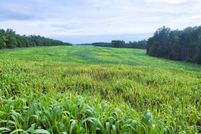 Land for sale in Buckingham County, Virginia