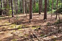 Land for sale in Lake County, Michigan