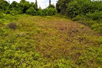 Homesite for sale in Hawaii County, Hawaii