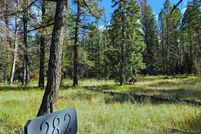 Undeveloped Land for sale in Gunnison County, Colorado