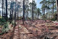 Land for sale in Franklin County, Florida