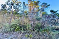 Homesite for sale in Franklin County, Florida