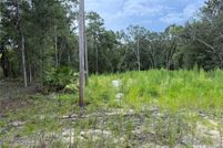 Undeveloped Land for sale in Putnam County, Florida