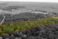 Undeveloped Land for sale in Marshall County, Mississippi