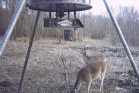 Land for sale in Red River County, Texas