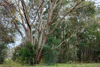 Undeveloped Land for sale in Citrus County, Florida