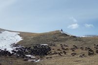 Farm and Ranch for sale in Park County, Montana