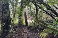 Land for sale in Coos County, Oregon