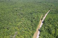 Land for sale in Marion County, Alabama