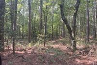 Undeveloped Land for sale in Saline County, Arkansas