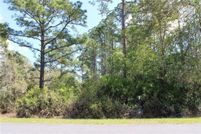 Undeveloped Land for sale in Lake County, Florida