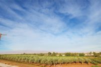 Land for sale in Riverside County, California