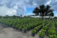 Land for sale in Miami-Dade County, Florida