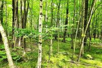 Land for sale in Clare County, Michigan