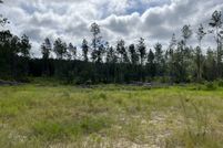 Land for sale in George County, Mississippi