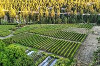 Land for sale in Stevens County, Washington