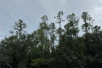 Land for sale in Citrus County, Florida