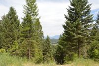 Land for sale in Flathead County, Montana
