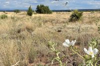 Land for sale in Navajo County, Arizona