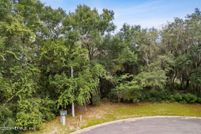 Land for sale in Nassau County, Florida