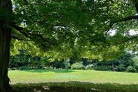 Land for sale in Oceana County, Michigan