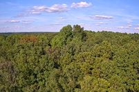 Land for sale in Lamar County, Georgia