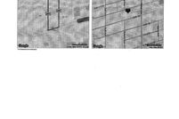 Land for sale in Harrison County, Mississippi