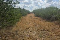 Land for sale in Jim Wells County, Texas