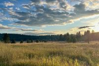 Undeveloped Land for sale in Adams County, Idaho