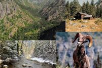 Undeveloped Land for sale in Idaho County, Idaho