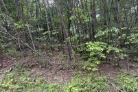 Undeveloped Land for sale in Cocke County, Tennessee