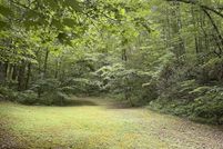 Undeveloped Land for sale in Sevier County, Tennessee
