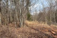 Timberland Property for sale in Cocke County, Tennessee