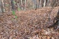 Land for sale in Sevier County, Tennessee