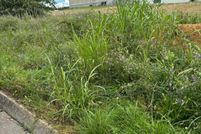 Undeveloped Land for sale in Sevier County, Tennessee