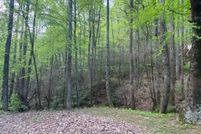 Land for sale in Sevier County, Tennessee