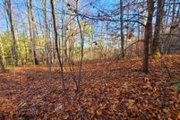 Undeveloped Land for sale in Sevier County, Tennessee
