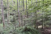 Land for sale in Sevier County, Tennessee