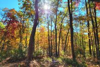 Undeveloped Land for sale in Sevier County, Tennessee