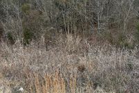 Land for sale in Sevier County, Tennessee