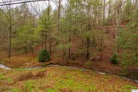 Undeveloped Land for sale in Sevier County, Tennessee