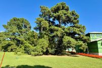 Land for sale in Northampton County, Virginia