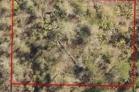 Undeveloped Land for sale in Bay County, Florida