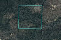 Land for sale in Calhoun County, Florida